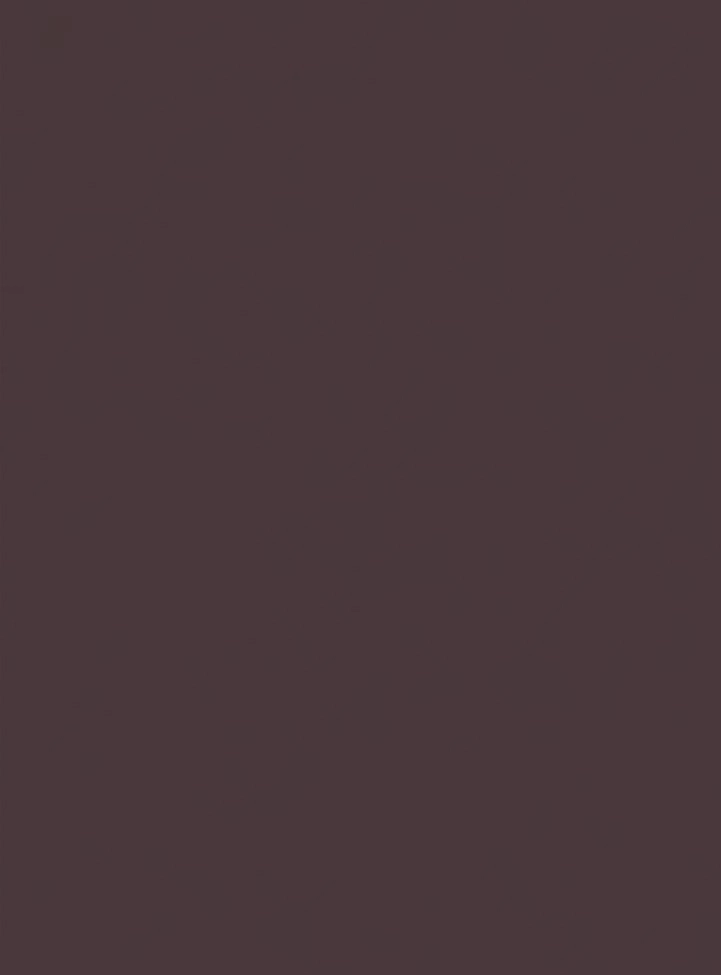 Акриловый камень Coffee Bean